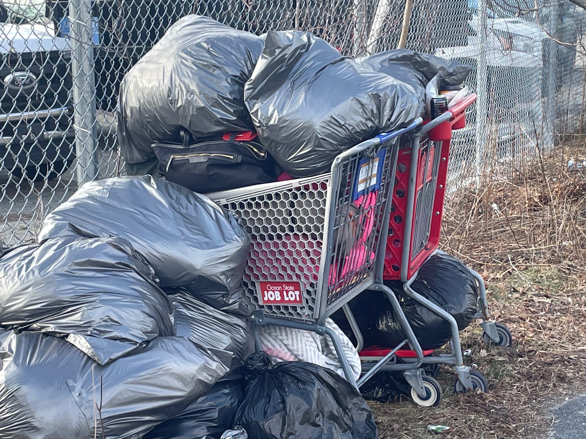Shopping cart with plastic bags